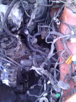 WP_002894.webp