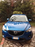 cx5 3.webp