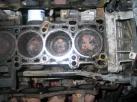 protege 004.webp