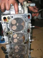 protege 008.webp
