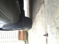 image.webp