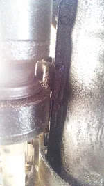 IMAG0468.webp