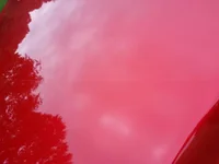 PaintDefender4.webp