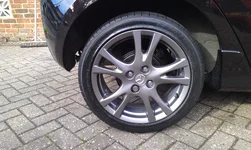 IMAG0300.webp