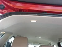 TrunkLight2.webp