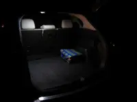TrunkLightNight5.webp