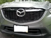 IMG_20130703_170042m.webp