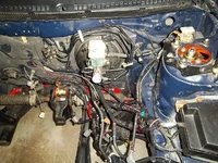 100_1821.webp
