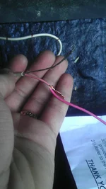 IMAG0655.webp