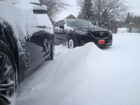 driveway.webp
