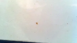 021614-Rail Dust 02.webp