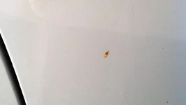 0211614-Rail Dust 01.webp