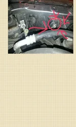 S Memo.webp