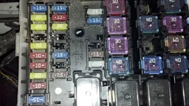 032314-DRL-02-sm.webp