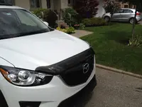 cx5 3.webp
