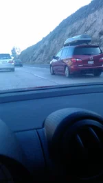 IMAG2685.webp