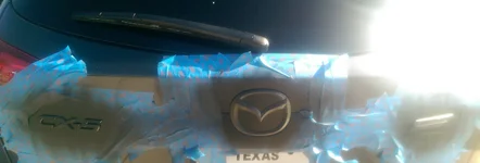 IMAG0925_1.webp