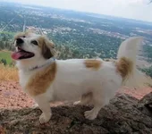 MtSanitas_400.webp