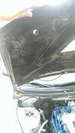 IMAG0367.webp