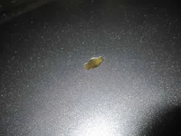 Washer Nozzle Replacement 09.webp
