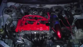 IMAG0221[1].webp