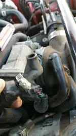 20150131_162934.webp