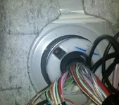 Harness Inside.webp