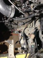 image2 copy.webp