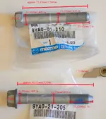 lca_bolt.webp