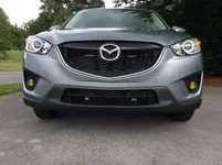Fog Lights.webp