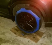 IMAG0385_1.webp