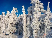 img-151223-001.webp