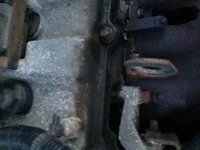 image.webp