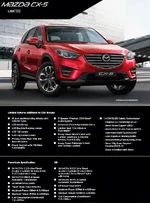 CX5.webp