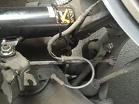 image.webp
