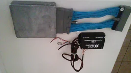Picture.webp