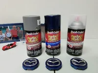 Emilia - Paint Used for Center Caps.webp