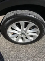 rim.webp