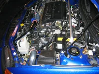 100_0005.webp