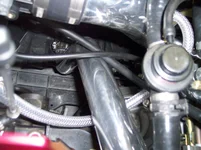 100_0280.webp