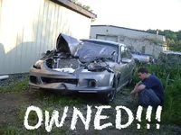 owned.webp