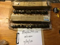 OEM_Cams.webp
