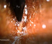 2017-11-20_19-32-11.webp 2017-11-20_19-32-11.webp