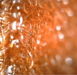 2017-11-20_19-30-51.webp 2017-11-20_19-30-51.webp