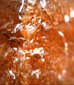 2017-11-20_19-30-15.webp 2017-11-20_19-30-15.webp