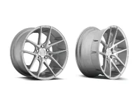 NicheTarga.webp