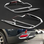 tail rings.webp