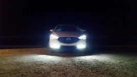 Lights.webp