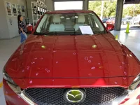 CX-5 1.webp