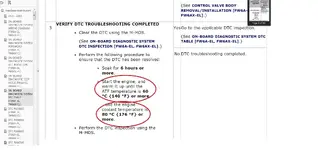 trans temp.webp